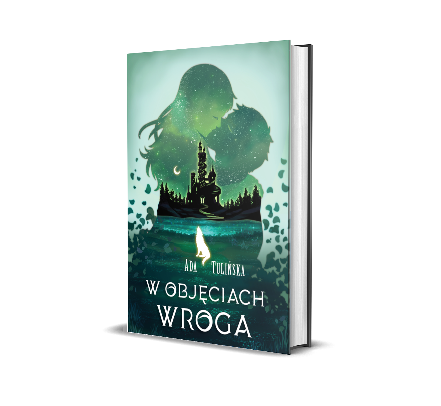 Okładka książki W objęciach wroga
